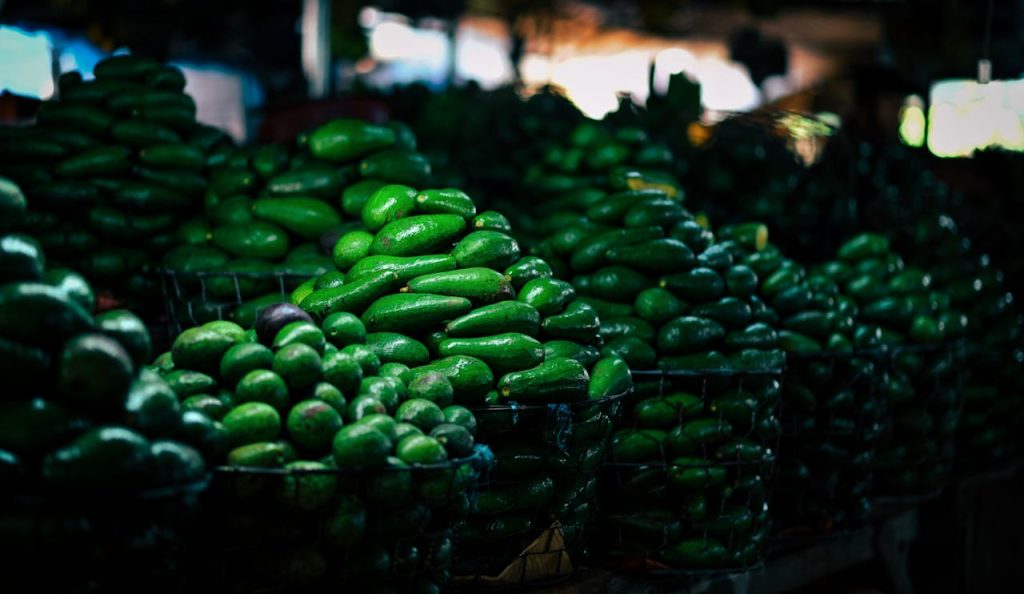 De schaduwzijde van de avocado: waarom deze vrucht slecht is voor het milieu